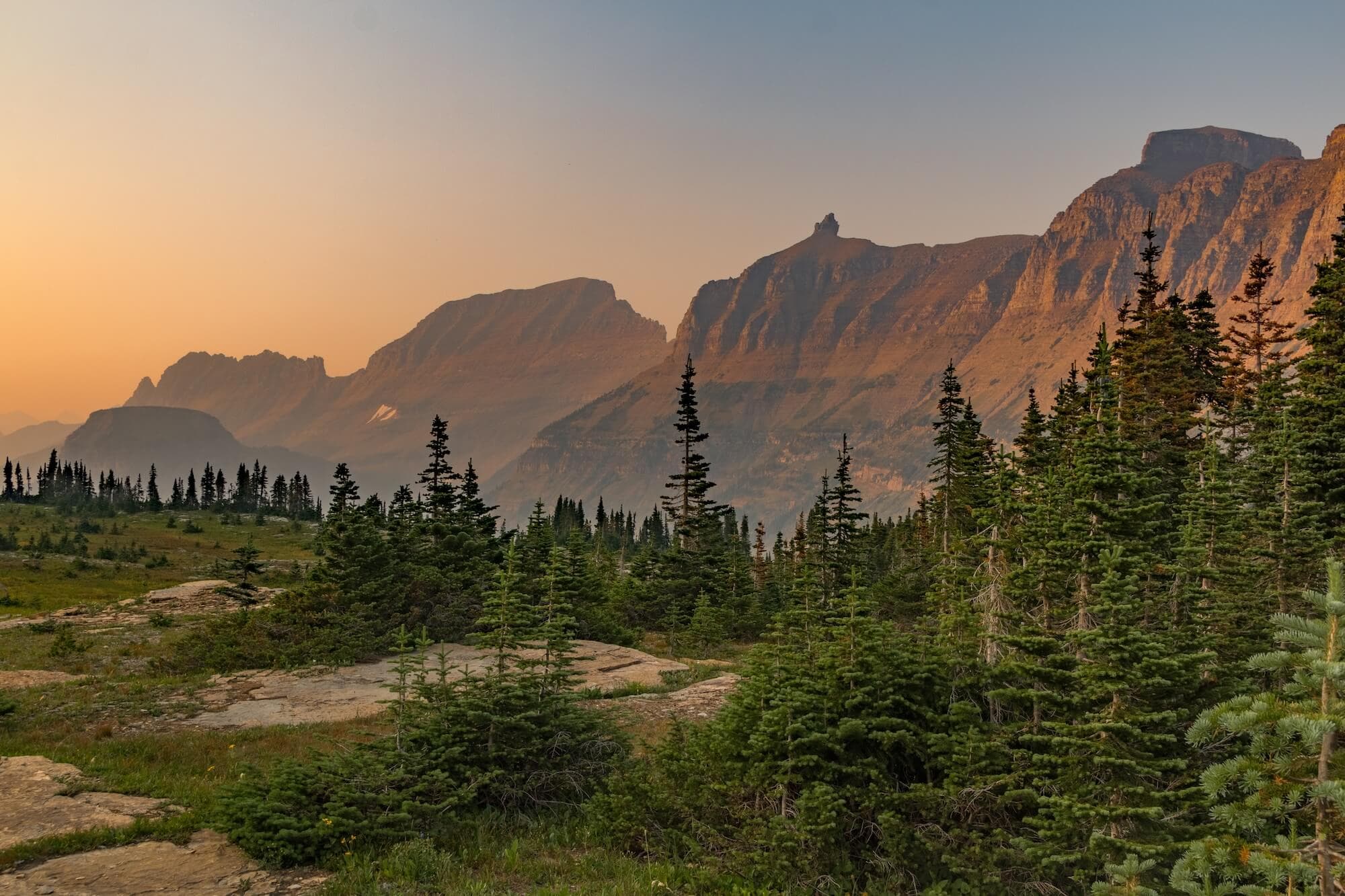 Image of the The Forest Hiker tour #3